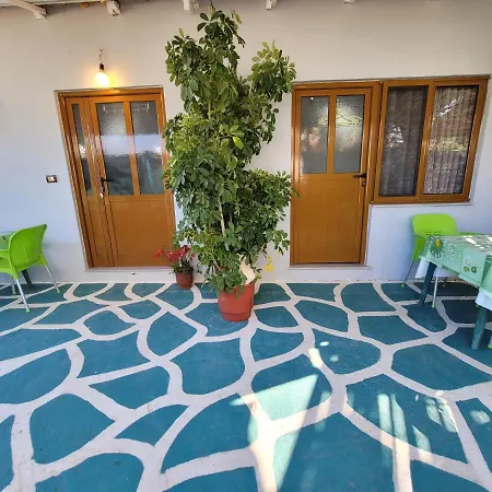 Petrefi 卡萨米尔