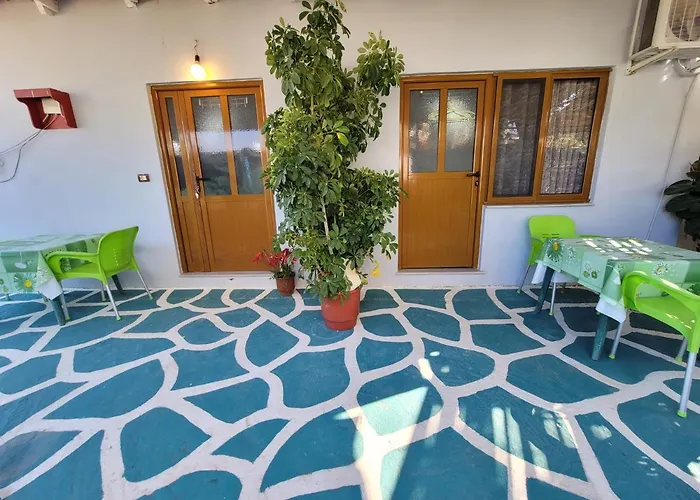 Petrefi Ксамил